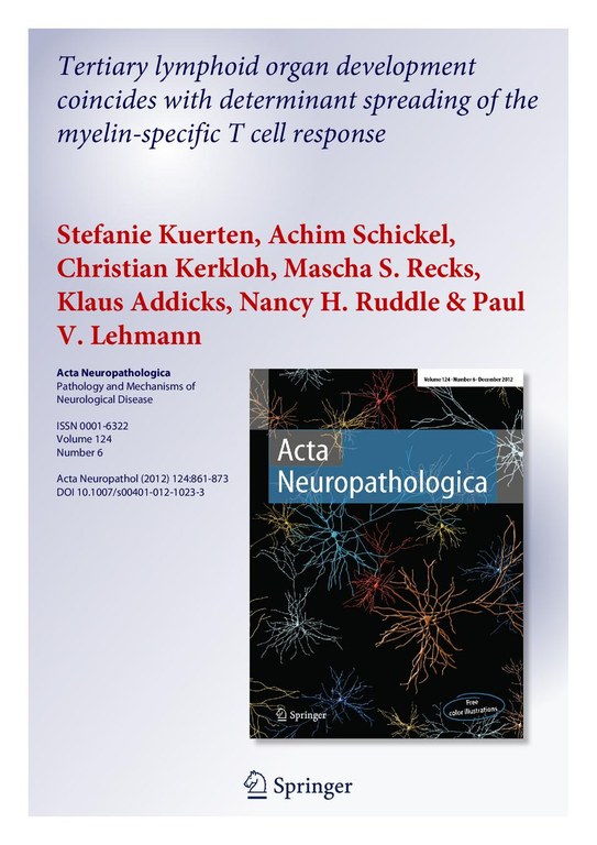 Kuerten et al_2012.pdf